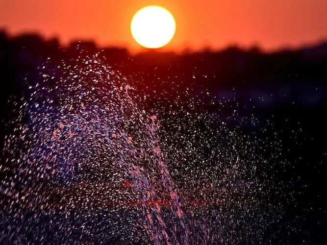 Jasmin Elite & 3* بودروم