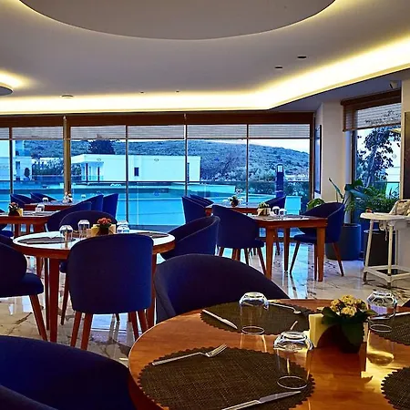 Jasmin Elite & Bodrum