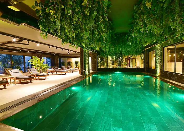 Jasmin Elite & Bodrum