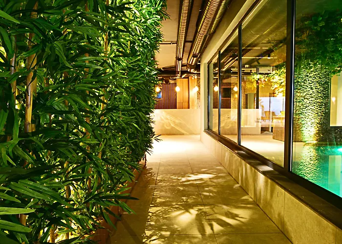 Jasmin Elite & 3* בודרום